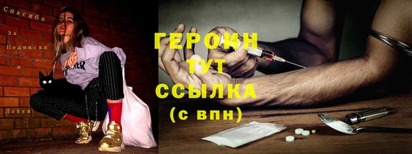 гашик Алексин
