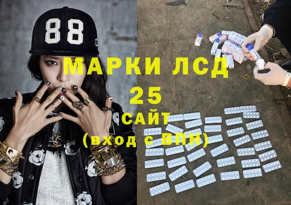 гашик Алексин