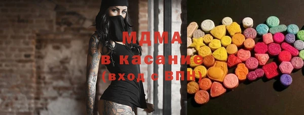 гашик Алексин