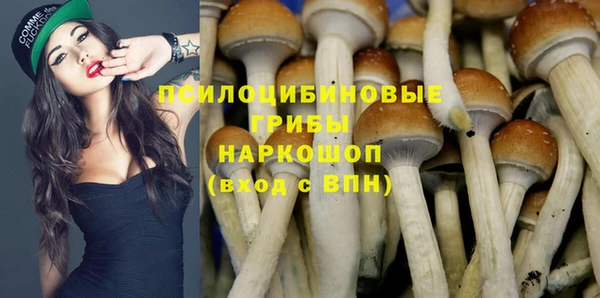 гашик Алексин