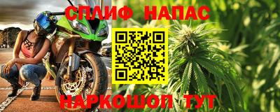 крисы Новокубанск